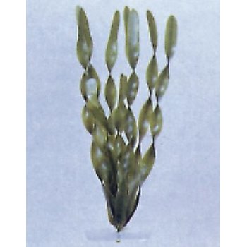 AP 014\8 PIANTA PLASTICA 20CM